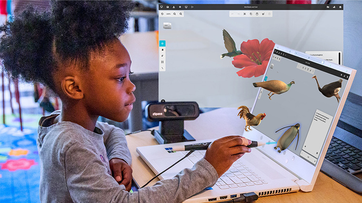 Young child uses a stylus to interact with 3D educational models of birds and flowers on a zSpace laptop.