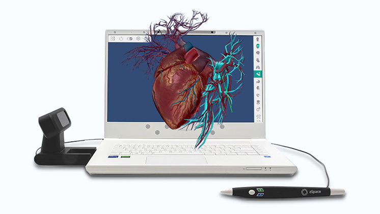 A zSpace laptop displaying a 3D model of a human heart with connected blood vessels. The setup includes a stylus and a sensor, highlighting zSpace's immersive augmented reality technology for educational and medical applications.