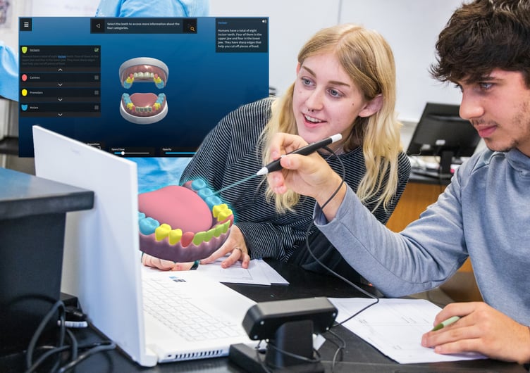 Students using zSpace's interactive 3D learning platform to study human teeth anatomy. The detailed 3D model of a mouth displays various types of teeth, enhancing their understanding of dental structure. One student uses a stylus to interact with the model, while another observes, engaged in an immersive educational experience.