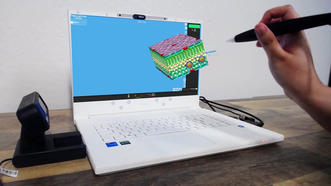 Person using a stylus to interact with a 3D model of a Ginkgo leaf cross-section displayed on a zSpace laptop. The detailed, colorful 3D model highlights the palisade mesophyll, showcasing zSpace’s immersive educational technology for virtual exploration of biological structures.